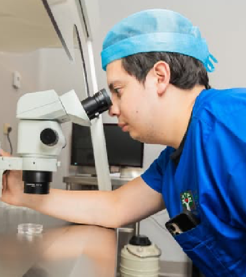 fertility clinic in mexico 04 06